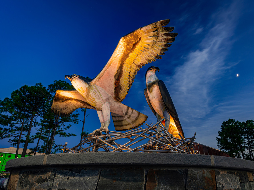 UNCW statue of two seahawks