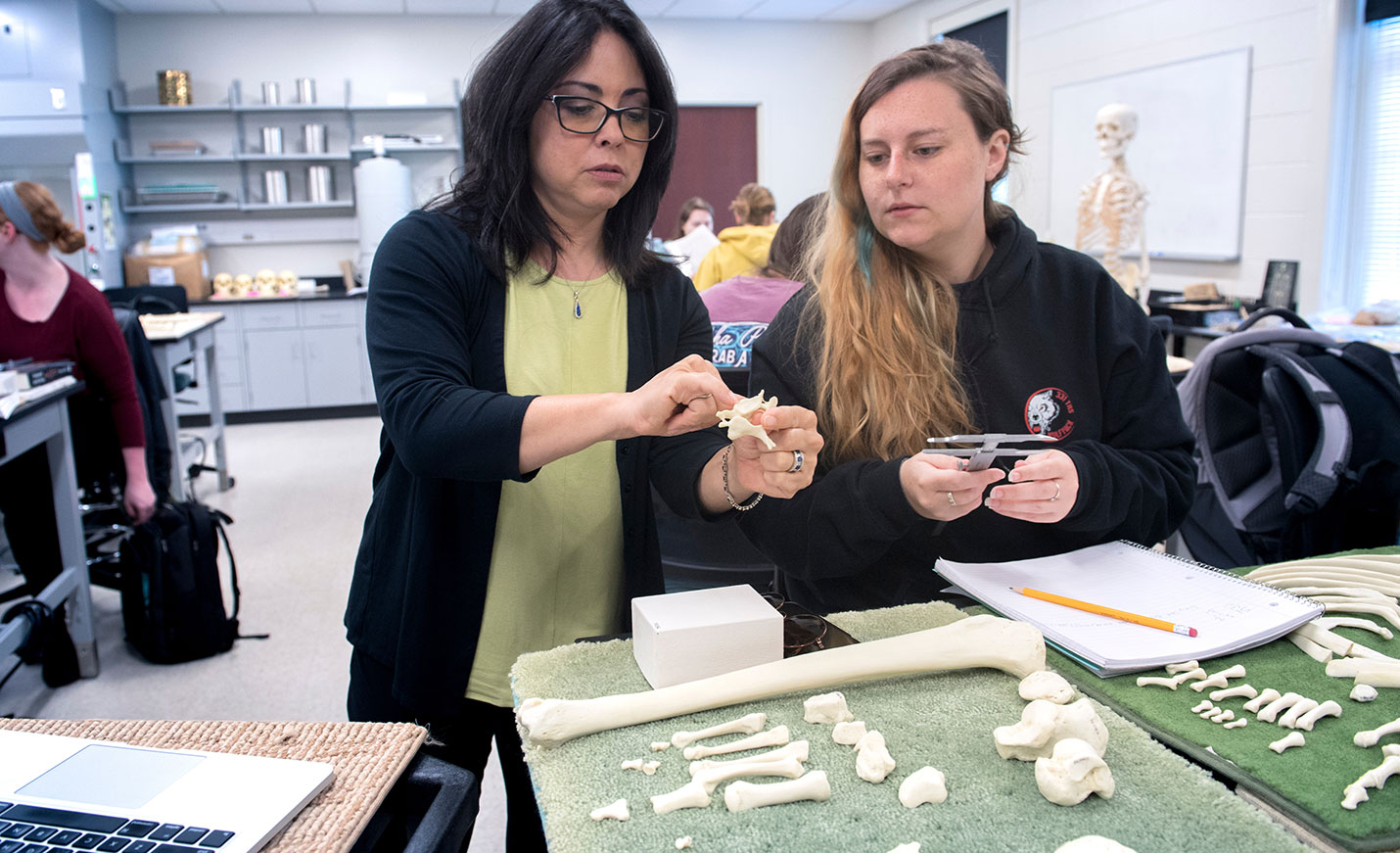 Anthropology Professor Midori Albert analyzes bones with a student