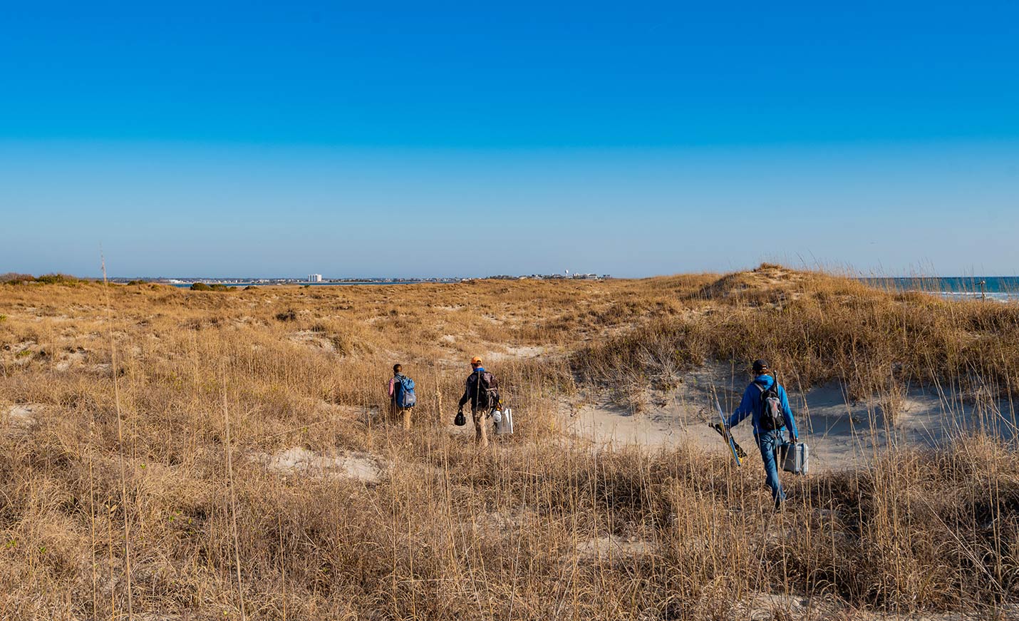 People walking in the dunes