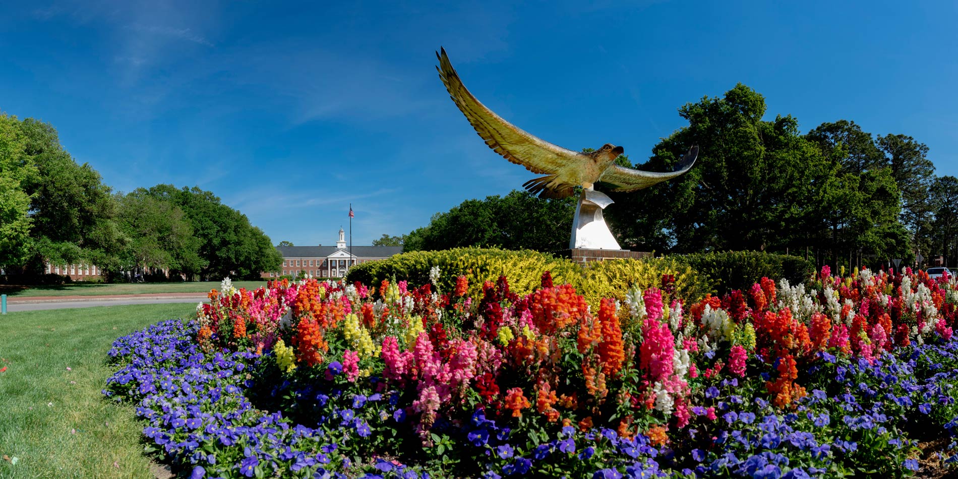 Statue in a flower garden