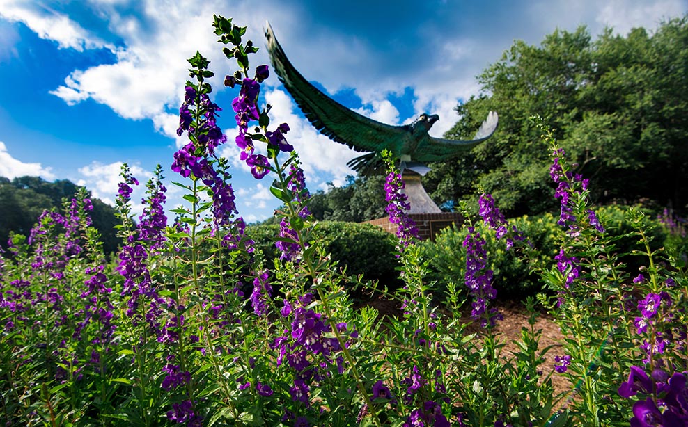 Seahawk statue with purple blooms in foreground