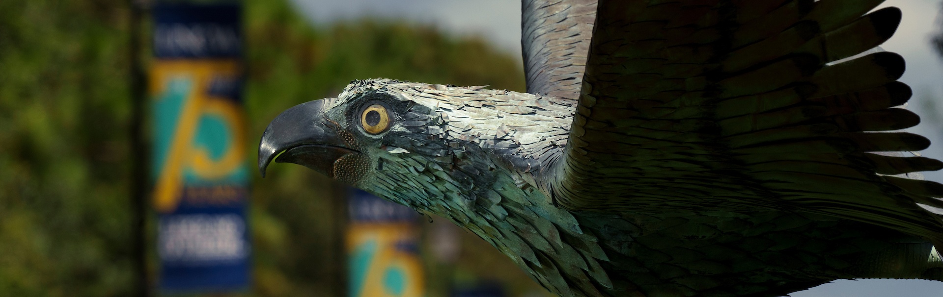 Seahawk statue on campus