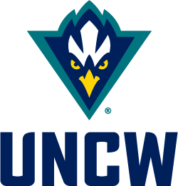 secondary seahawk athletics logo