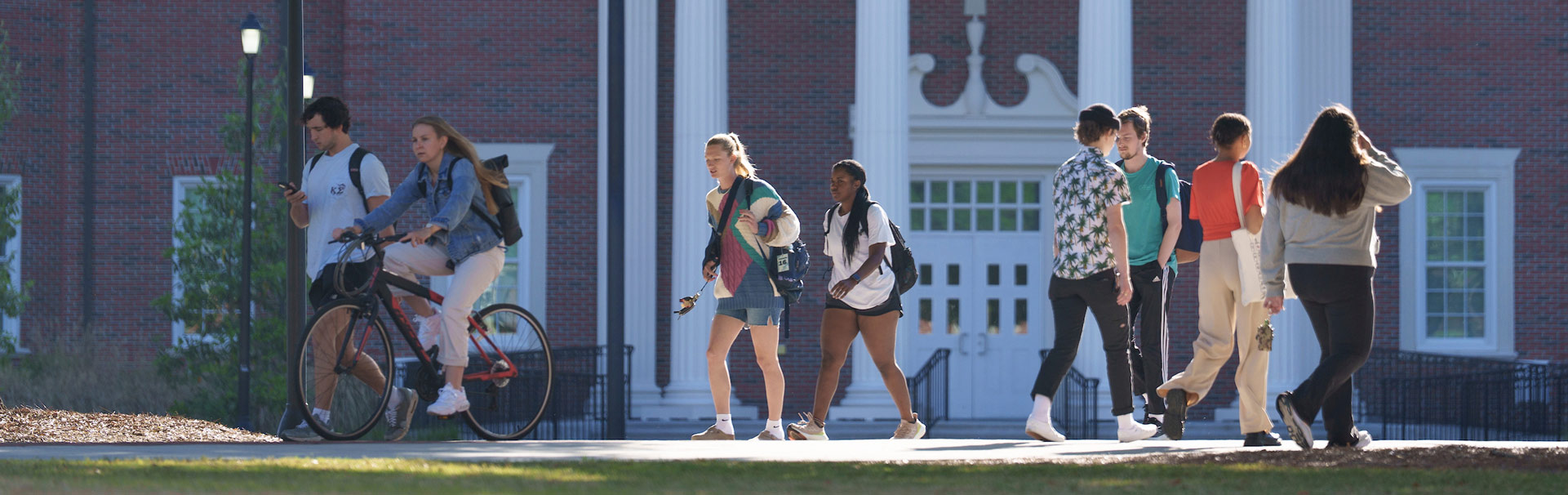Students walk and ride their bikes to class under the canopy of oak trees on the Chancellor's Walk. 