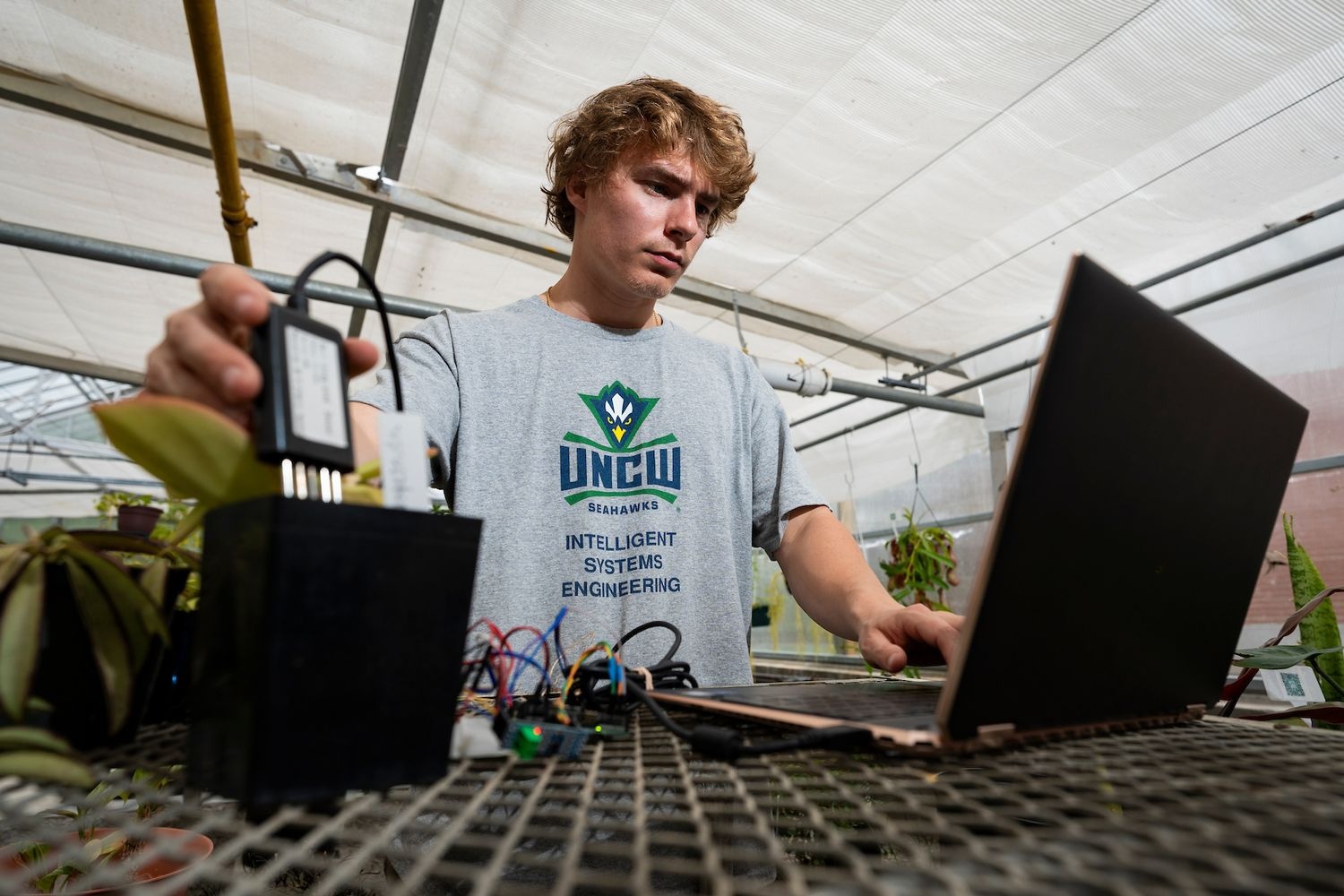 Person in a greenhouse working with a laptop and an electronic device connected to wires on a metal table, wearing a T-shirt with the text ‘UNCW Seahawks Intelligent Systems Engineering