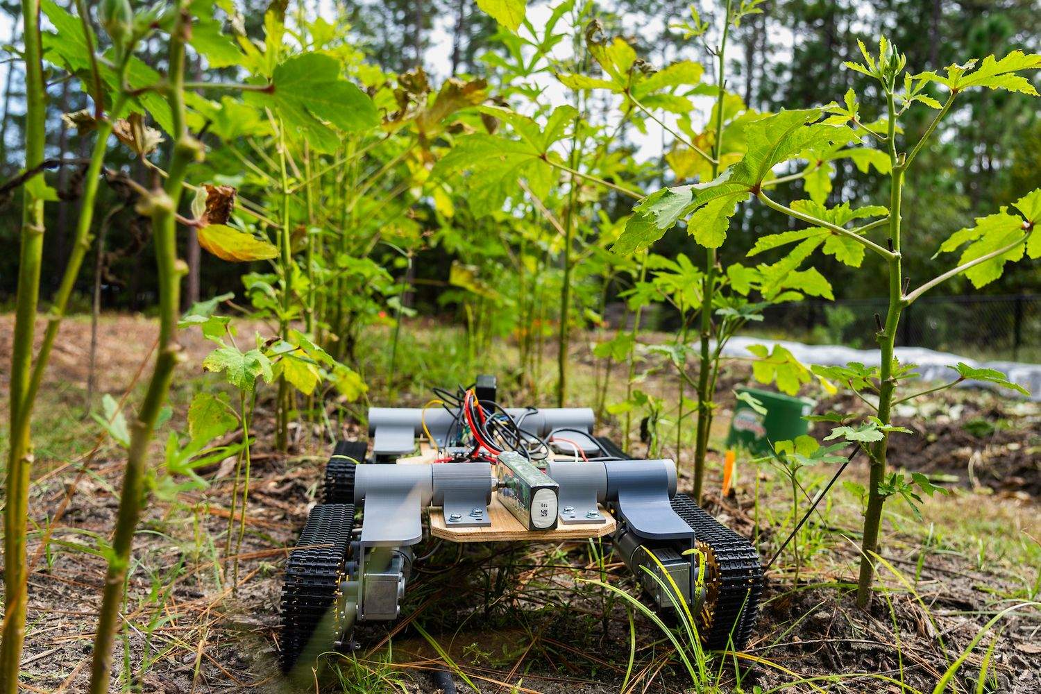 Small tracked robot with exposed wiring and sensors navigating through green plants in an outdoor garden or forest setting.