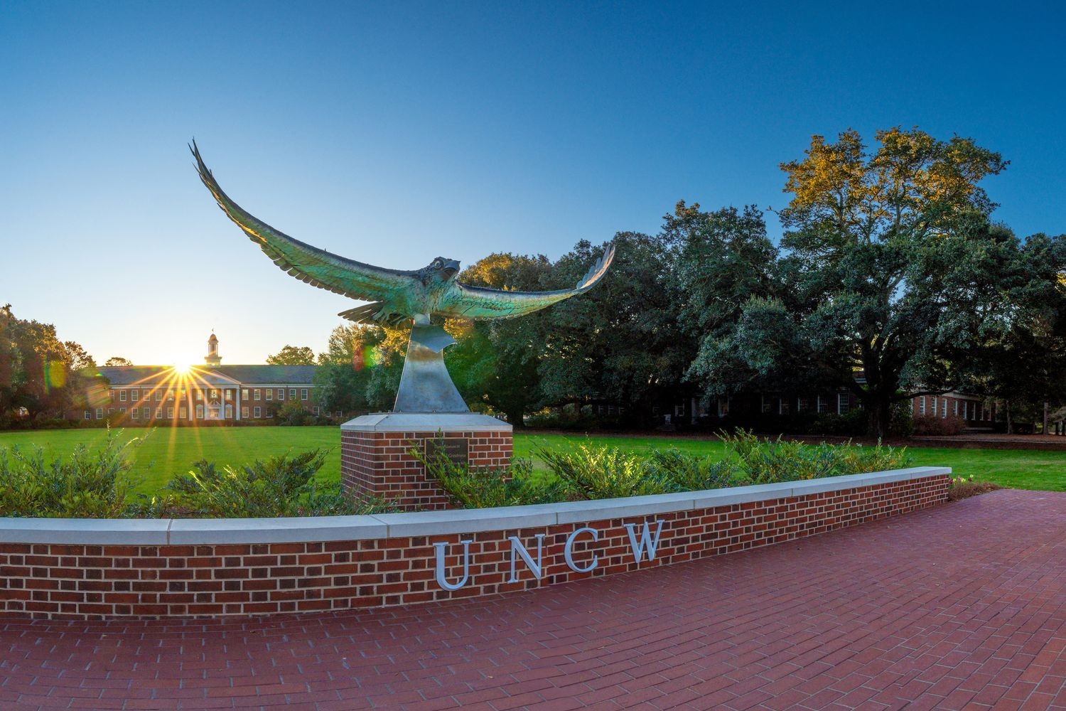 Soaring Seahawk statue at sunset