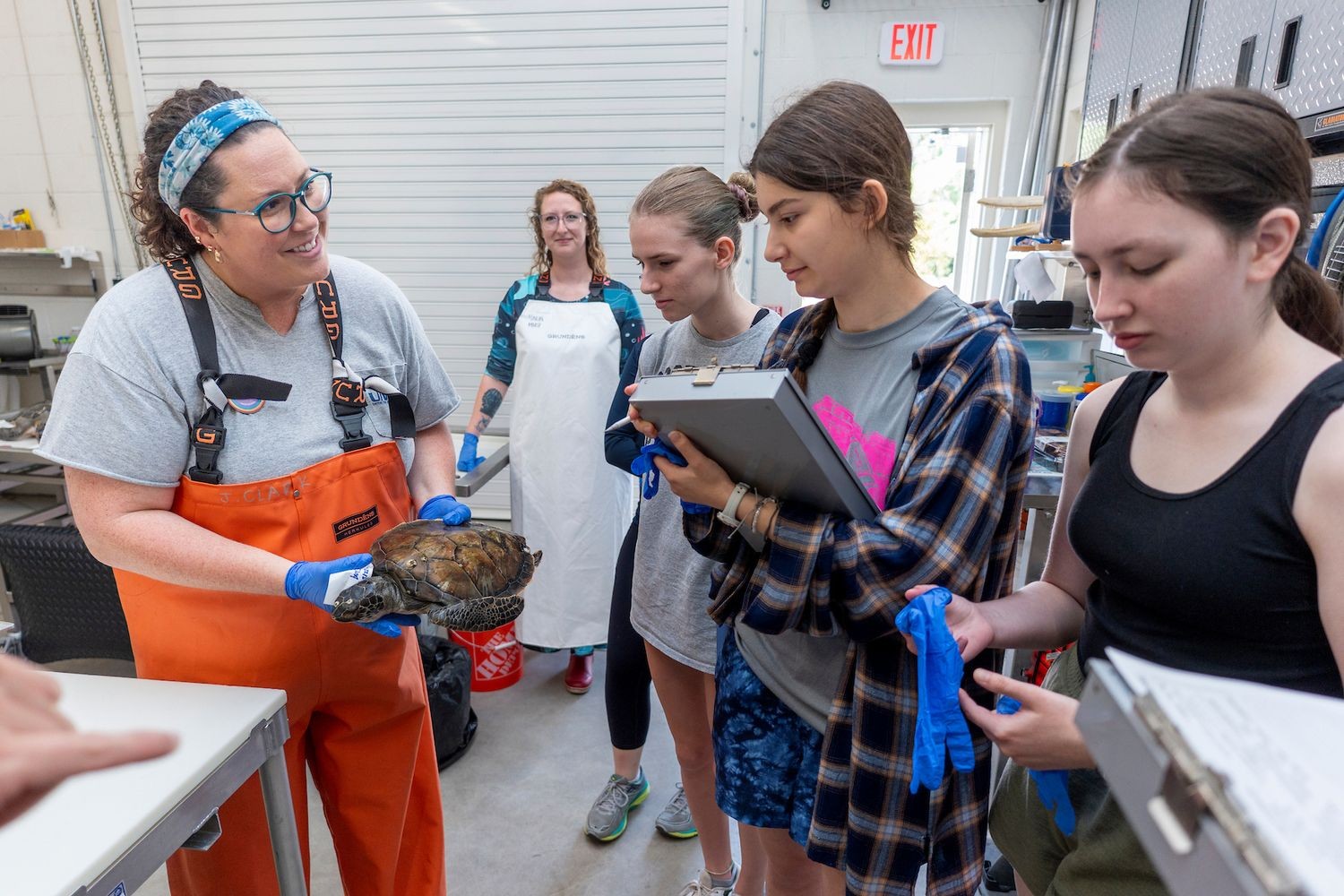 Reseracher showing off seaturtle