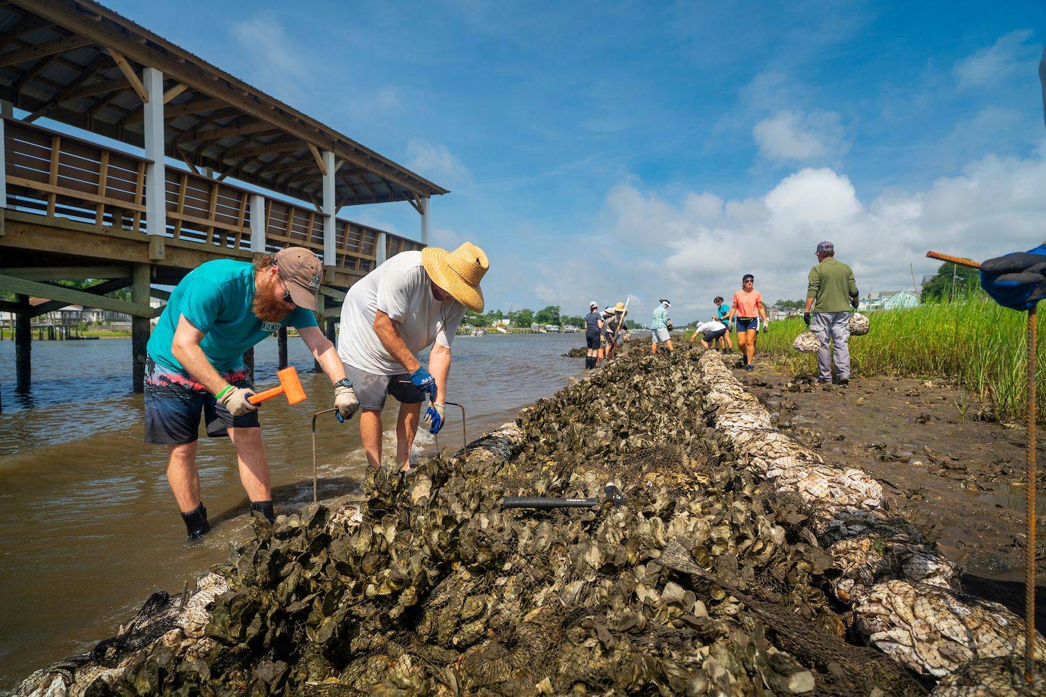 Living Shoreline Project volunteers helping combat erosion