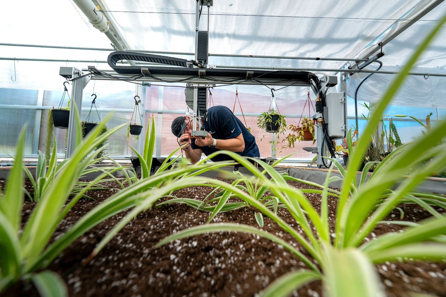 Student in the Intelligent Systems Engineering program (ISE) working on the machine in the greenhouse