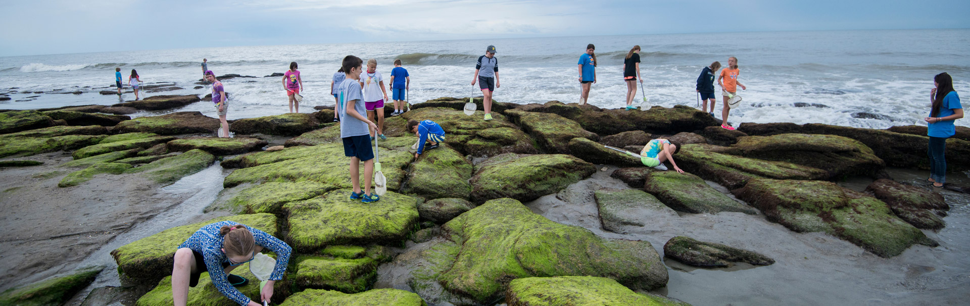 Students on beach with instructor